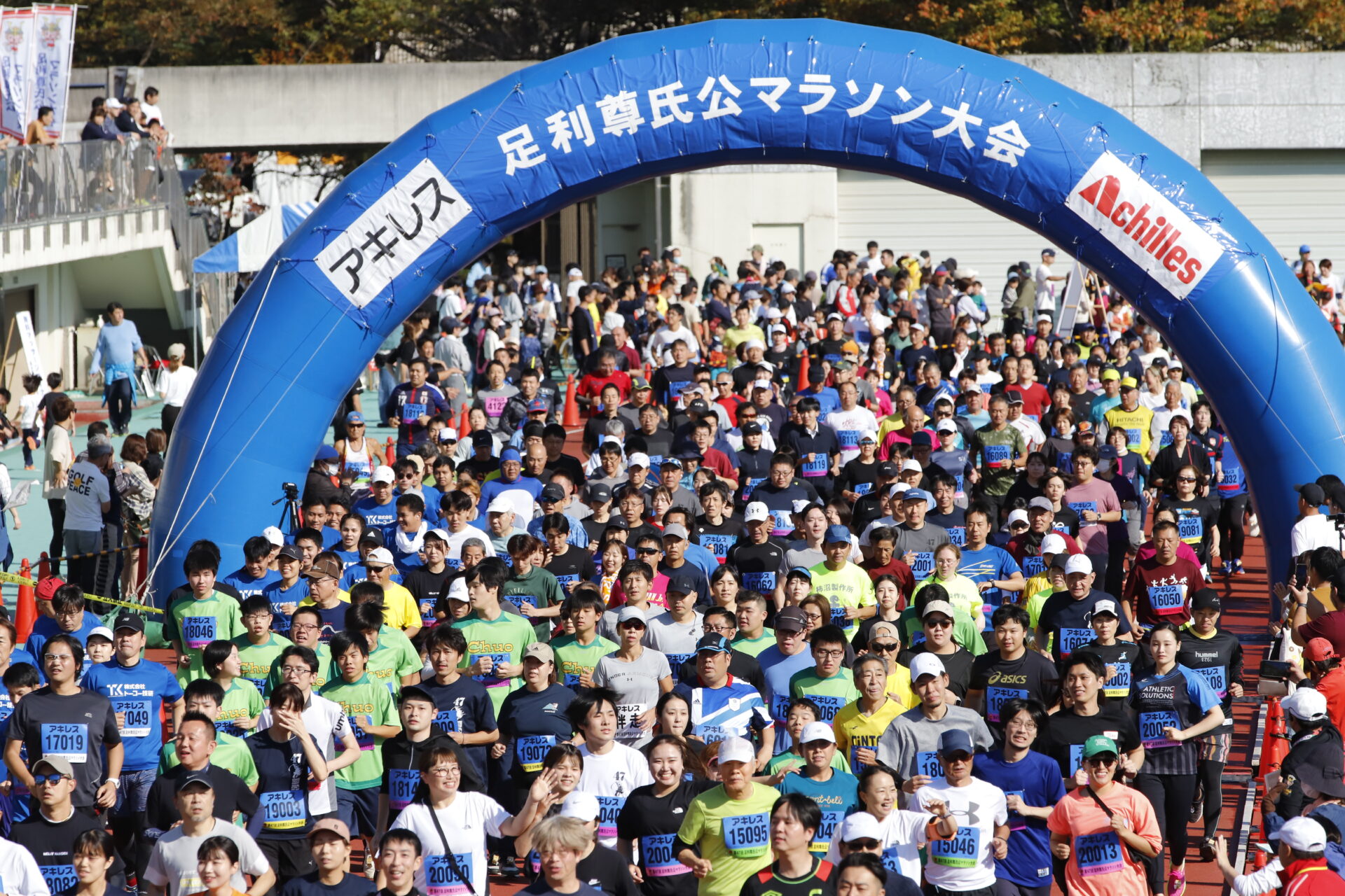 写真 2024-11-03 9 21 03